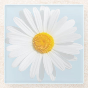Posavasos De Vidrio margarita blanca