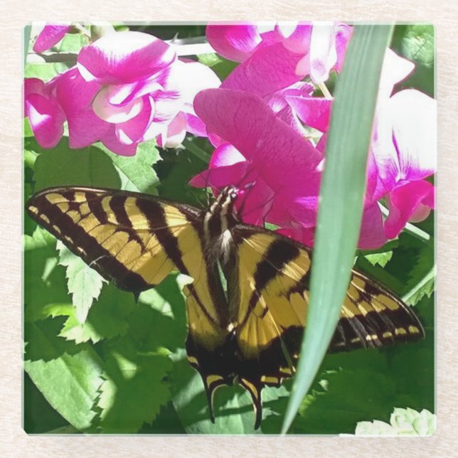 Posavasos De Vidrio Mariposa amarilla en primavera (Anverso)