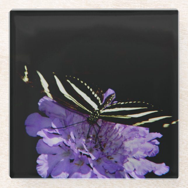 Posavasos De Vidrio Mariposa cebra (Anverso)