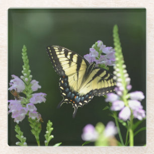 Posavasos De Vidrio Mariposa En El Jardín