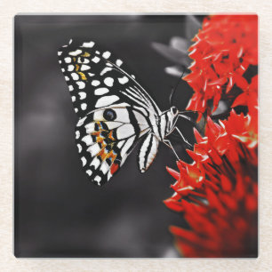 Posavasos De Vidrio Mariposa en las flores rojas