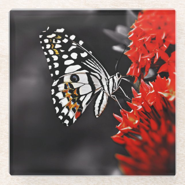 Posavasos De Vidrio Mariposa en las flores rojas (Anverso)
