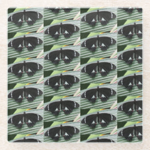 Posavasos De Vidrio Mariposa negra y blanca