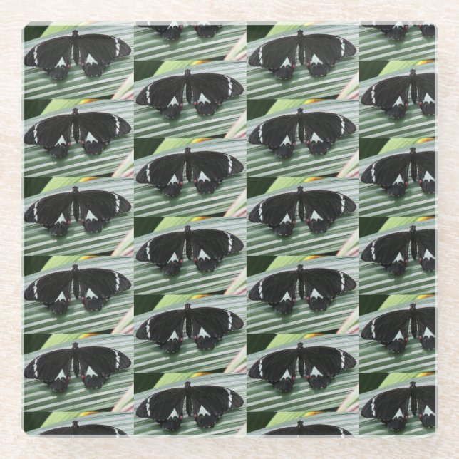 Posavasos De Vidrio Mariposa negra y blanca (Anverso)