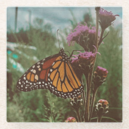 Posavasos De Vidrio mariposas naranja