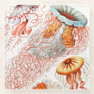 Posavasos De Vidrio Marisco, Discomedusae de Ernst Haeckel