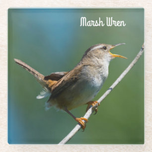Posavasos De Vidrio Marsh Wren
