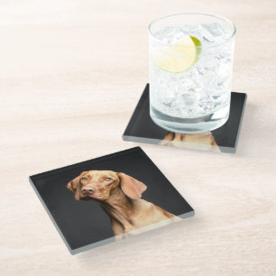 Posavasos De Vidrio Mascota Brown Beagle Dog