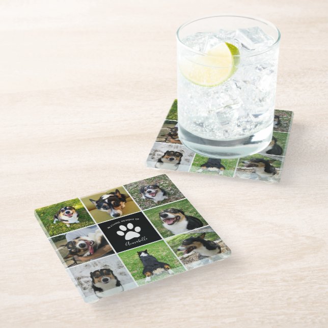 Posavasos De Vidrio Mascota Personalizado Perro Collage de fotos Paw P (Angular)