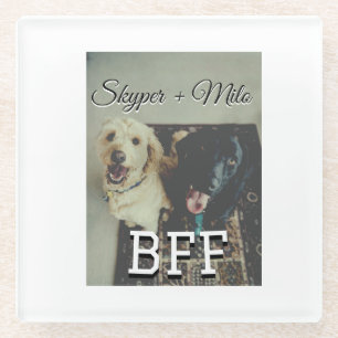Posavasos De Vidrio Mascotas amigos bestias agregar nombre mascota fot