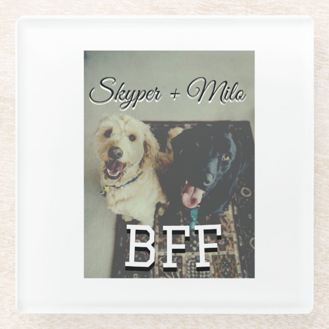 Posavasos De Vidrio Mascotas amigos bestias agregar nombre mascota fot (Anverso)