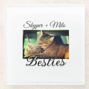 Posavasos De Vidrio Mascotas amigos bestias agregar nombre mascota fot