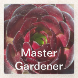 Posavasos De Vidrio Master Gardener Coastal Plant Photo Red Succulent