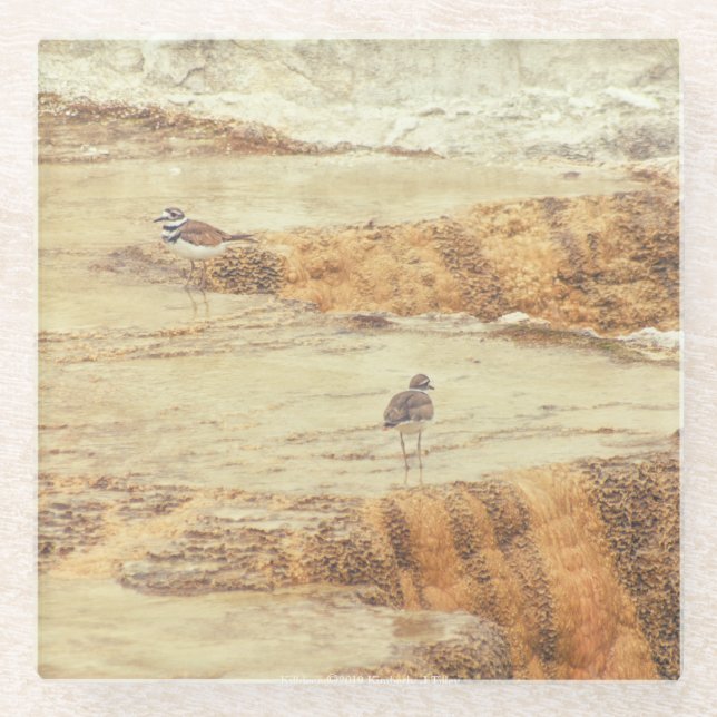 Posavasos De Vidrio Matador (Anverso)