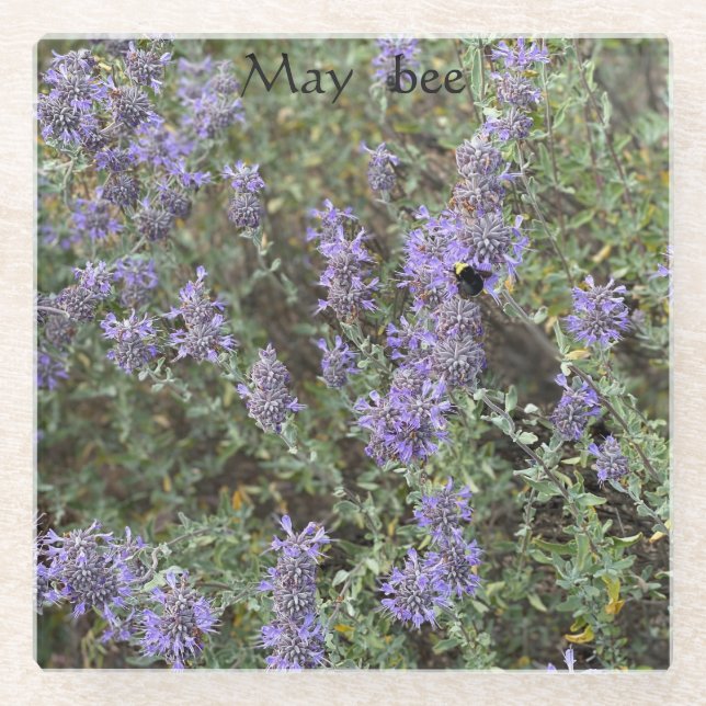 Posavasos De Vidrio May bee (Anverso)