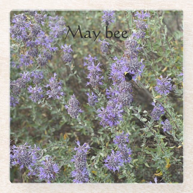 Posavasos De Vidrio May bee (Anverso)