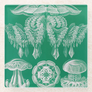 Posavasos De Vidrio Medusas, Discomedusae por Ernst Haeckel
