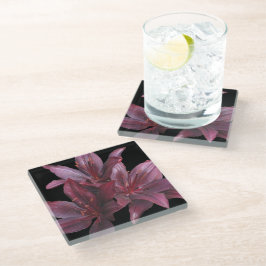 Posavasos De Vidrio Mieles asiáticos rojos oscuros sobre flor negra