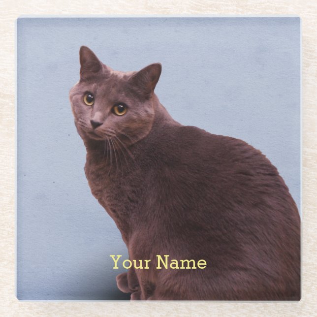 Posavasos De Vidrio Mirada rusa del gato azul (Anverso)