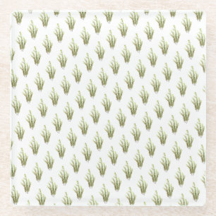 Posavasos De Vidrio Moda rústica con hierbas aromáticas de Rosemary