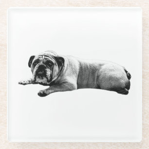Posavasos De Vidrio Momentos de bulldog