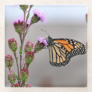 Posavasos De Vidrio Monarca