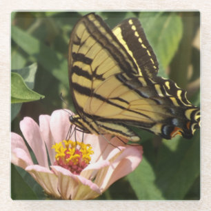 Posavasos De Vidrio Monarch Butterfly Glass Coaster
