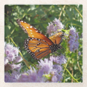 Posavasos De Vidrio Monarch Butterfly Photo Naranja Black Flower