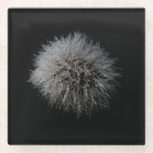 Monasterio de cristal de Dandelion blanco