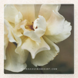 Posavasos De Vidrio Monasterio de vidrio florido