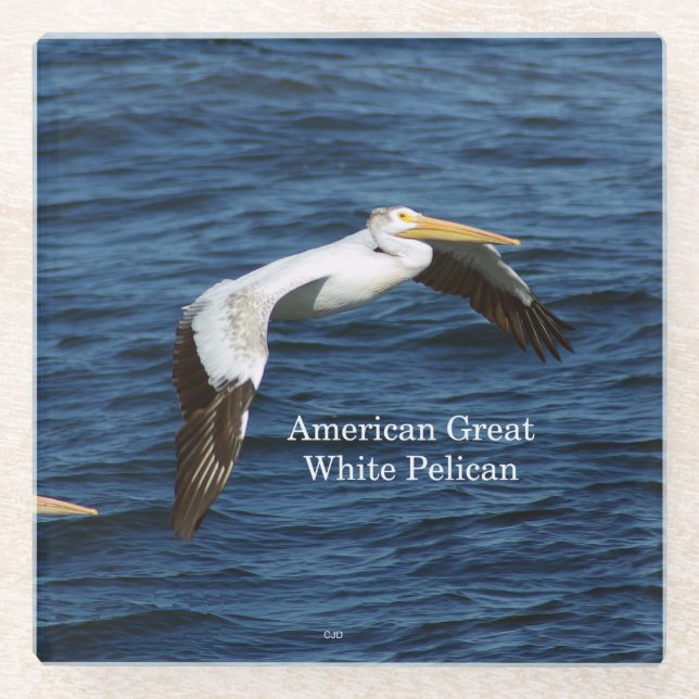 Posavasos De Vidrio Monasterio de vidrio Pelícano (Anverso)