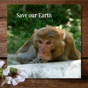 Posavasos De Vidrio Mono - Abuelo