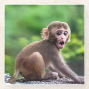 Posavasos De Vidrio Mono de bebé dulce y adorable