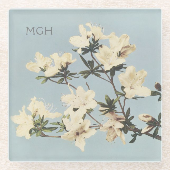 Posavasos De Vidrio Monograma de las flores de azalea de crema blanca  (Anverso)