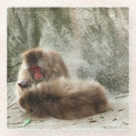 Posavasos De Vidrio Monos