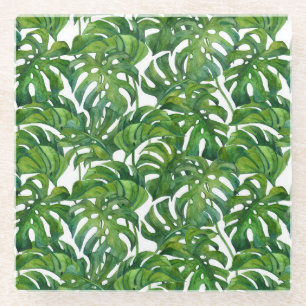 Posavasos De Vidrio Monstera verde deja a los tropicales sin foco