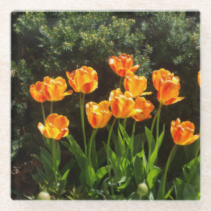 Posavasos De Vidrio Monstruo de cristal de los tulipanes amarillos
