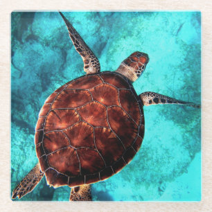 Posavasos De Vidrio Monstruo de tortuga marina