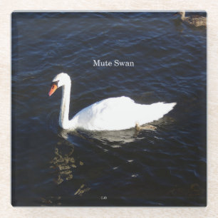 Posavasos De Vidrio Monstruo de vidrio de cisne mudo