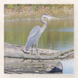 Posavasos De Vidrio Monstruo de vidrio de Heron Azul