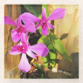 Posavasos De Vidrio Monstruo de vidrio para orquídeas personalizado