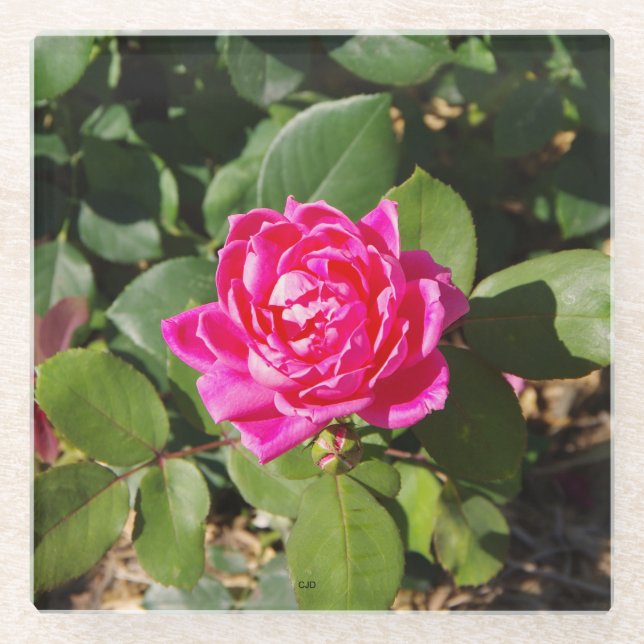 Posavasos De Vidrio Monstruo de vidrio rosa (Anverso)