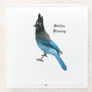 Posavasos De Vidrio Monstruo de vidrio Stellar Blue Jay