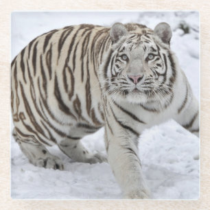 Posavasos De Vidrio Monstruo de vidrio/Tigre blanco