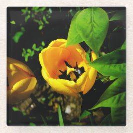 Posavasos De Vidrio Monstruo de vidrio tulipán