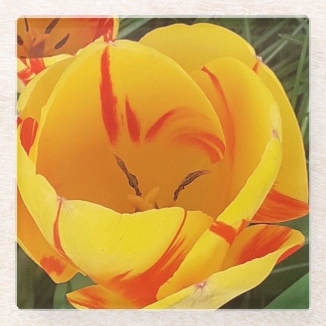 Posavasos De Vidrio Monstruo de vidrio tulipán amarillo (Anverso)