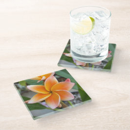 Posavasos De Vidrio Monstruo, vidrio - Plumeria