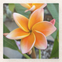 Posavasos De Vidrio Monstruo, vidrio - Plumeria