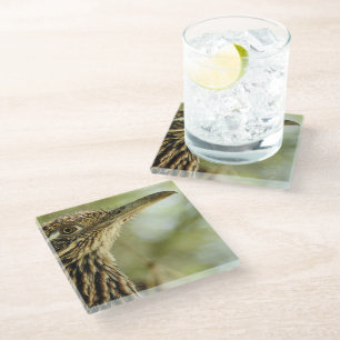 Posavasos De Vidrio Montaña de vidrio de pista
