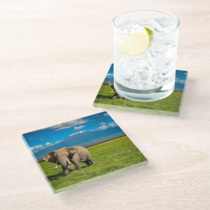 Posavasos De Vidrio Montañas Monte Kilimanjaro Tanzania, África